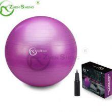 Classic Style Economical Exercise Pilates Swiss Fitness Balance Yoga Ball Hot Sale