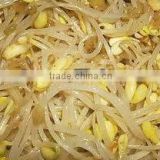 Canned Bean Sprout For Nice Recipes