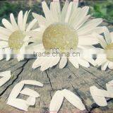 Plastic Pellets For Injection Molding