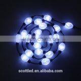 50mm Crystal Shell Body 360 Angle Led Ball Light Color Changing Led Ball Light thumbnail-4