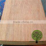 Office Container Container Flooring Plywood thumbnail-1