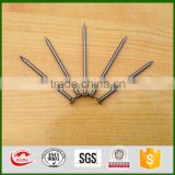 Factory on hot sale manufacturer common wire iron nail common nail