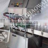 Automatic Linear Screw Capping Machine India