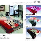 2015 NEW DESIGNS 1ply&2ply Raschel Quality Hot Compressed Embossed Raschel Korean Style Blanket NO.15019 thumbnail-2