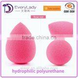 EveryLady Makeup Blender Sponge Brush for Christmas