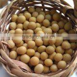 Organic Soya Beans( New Crop,Heilongjiang Origin) thumbnail-2