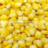 Malaysian Sweet Corn