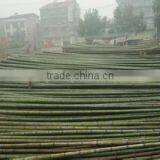 Cheap Raw Bamboo Poles thumbnail-3