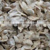 Dry Ginger Flakes thumbnail-1