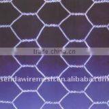 Hexagonal Wire Mesh