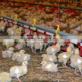 Hang Yu Trade Assurance Chicken Poultry Farm Equipment /Automatic Chicken Feeding System for Sale thumbnail-5