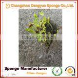 No Need Fertilizer Save Soil Green Planting Hydroponic Foam Odorless Growing Sponge thumbnail-3