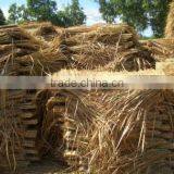 Grass Roof thumbnail-1