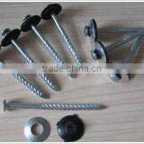 Galvanized Umbrella Head Roofing Nails With Washer thumbnail-5