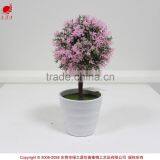 Christmas Decoration New Design Artificial Succulent Plants for 2015 thumbnail-1
