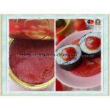 Being in Danger, Tomato Paste Ketchup thumbnail-2