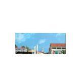 Hunan Dongting Citric Acid Chemicals Co., Ltd. company overview - view 1 thumbnail