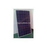 Solar Panel (poly, 150W-240W) thumbnail-1