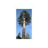 MONO PALM TOWER thumbnail-3