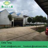 Changsha Erly Biological Technology Co.,Ltd company overview - view 2 thumbnail