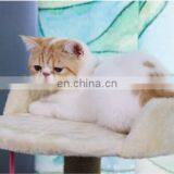 Small Size Cat Claw Climbing Frame Cat Scratching Sisal Tower Toy thumbnail-3