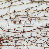 Fotos+de+mujeres+en+ropa+interior+de+encaje