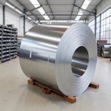 Tinplate, Tin-coated Steel Coil, Spte, Slitting, Plate Cutting, Film Laminating thumbnail-1