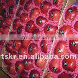 Apple Exporters Red Apple thumbnail-1