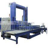 case palletizing machine