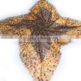 Animal Print Head Scarf thumbnail-1