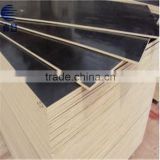 10mm good quality poplar wood finger joint laminated board from China for the Middle East