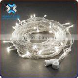 2016 24V/110V/220V Outdoor Christmas/Party/Wedding Decoration Led Large Net Lights,led Christmas String Light