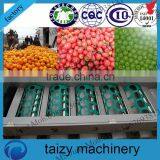 Professional Making Machine Garlic Grading Machine thumbnail-1
