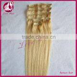 Wholesale Factory Price Hot Sell Double Weft 6A Virgin Remy Brazilian Human Clip In Hair Extension