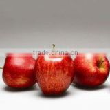 Fresh Indian Kashmir Apples (Red Delicious Apples) RED APPLES SOPHIYAN APPLES HIMACHAL APPLE