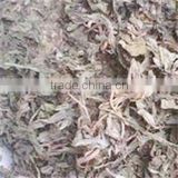 Large Amount Whole Sale Dry Herbs Belladonna Root