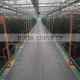 PVC (hydroponic) Gutter for Tomato