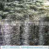 Stainless Steel Barbed Wire / Single Strand Barbed Wire / PVC Barbed Wire