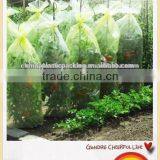 PE Agricultural Tomato Tube Green House With Holes thumbnail-1