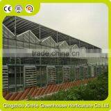 Low Cost Multi-Span Agricultural Greenhouse Light Deprivation Greenhouse thumbnail-1