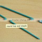 Wire Sod Staple