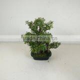 Short Tree Mini Tree Bonsai Artificial Small Tree thumbnail-6