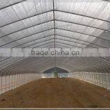 Economical Small Size Single Span Greenhouse for Agriculture thumbnail-1