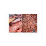 Waste Circuit Board Single Shaft Shredder Recycling Machine 37kw