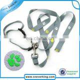 Best Selling Premium Reflective Bungee Running Hands Free Dog Leash