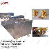 Commercial Apricot Core Removal Machine|Fruit Pitting Machine Manufacturers thumbnail-4