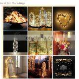 Christmas Decoration Micro Led Copper Wire String Lights 12V DC Plug 10M 20M thumbnail-6