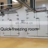 Vacuum industrial commercial freeze dry machine for food