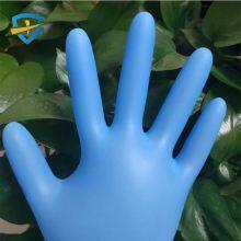 Protective Powder Free Disposable Gloves thumbnail-1