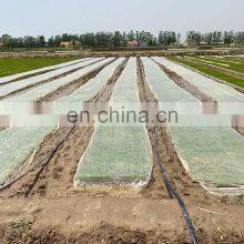 Agricultural Use Rice Seeder in India thumbnail-4